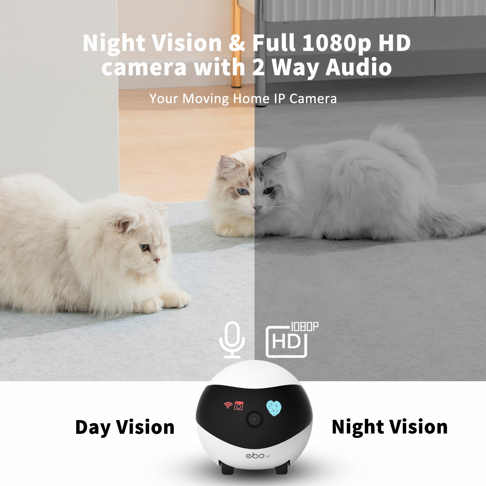 EBO SE Smart Home Robot Compan - Home Security Robot recension och pris