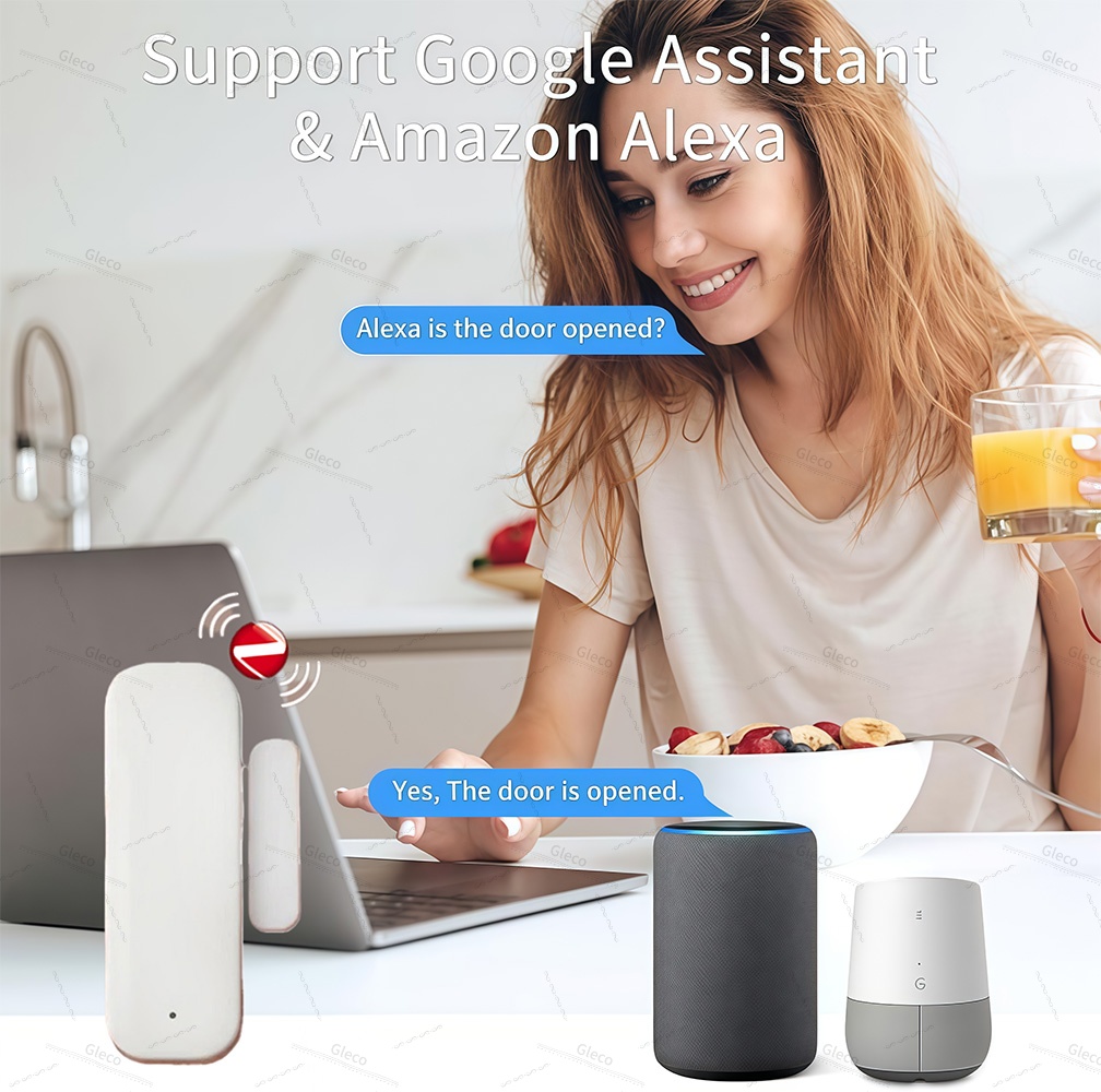 Zigbee Window Door Sensor Dete - Window Alarm Sensor recension och pris