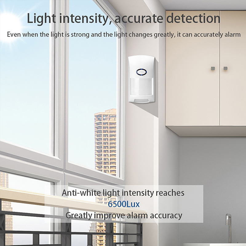Smart Tuya PIR Motion Sensor W - Home Security Ultimate recension och pris
