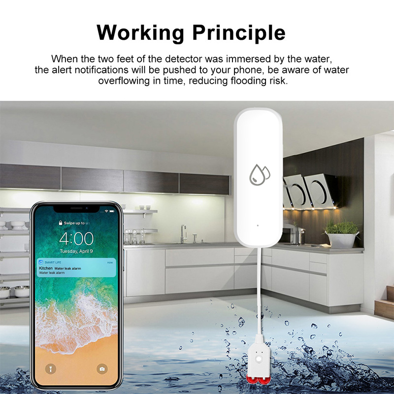 Tuya WiFi Water Leakage Alarm  - Home Security And Monitoring recension och pris