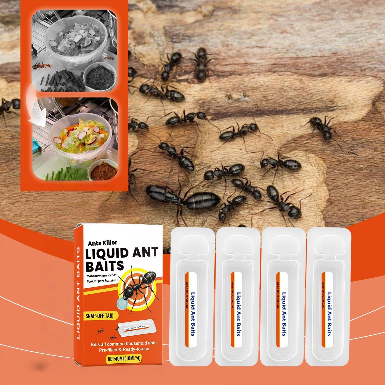 New Ant Bait Traps Indoor Ant  - Home Security Outdoor recension och pris